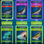 Cảnh trong Fishing Clash
